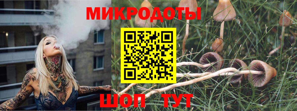 Благодарный  Галлюциногенные грибы MAGIC MUSHROOMS  Вход с VPN 